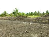 Dự Án Minh Trí Cái Tắc Giai Đoạn 2
