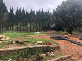 Bán Đất Đường Đống Đa, Phường 3, Đà Lạt - 264M2 - 5 Tỷ Đ2777