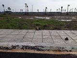 Đất Long Hải Nằm Ngay Mặt Tiền Biển Đại Lộ 44A