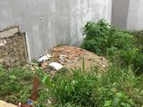 Bán Đất Đường Tô Vĩnh Diện, Phường 6, Đà Lạt - 80M2 - 5 Tỷ Đ2786