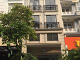 Cần Cho Thuê Gấp Nhà Phố Hưng Gia, Hưng Phước, Phú Mỹ Hưng, Quận 7, Tp. Hcm