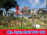 Bán Lô Đất Mặt Tiền Đường Vạn Hạnh - Tp Đà Lạt, Giá 5.5 Tỷ - Lh: 0947 981 166