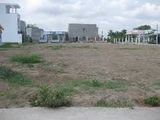 Thay Van Tim.Bán 872M2 Đất Có 550M2 Thổ Cư, Mặt Tiền Ql50, Bình Chánh-1,6Tỷ 01217303918