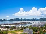 Bán Đất Biệt Thự Tuần Châu