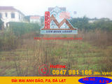 Bán Đất Bằng Phẳng, Hẻm Ô Tô Mai Anh Đào, Phường 8, Đà Lạt