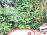 Bán Nền Đường Số 10 Khu dân cư Diệu Hiền, Cái Răng, Tp. Cần Thơ.