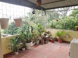 Đẹp Và Hiếm Nhà Văn Chương – Đống Đa 35M2 X 4 Tầng - Giá Nhỉnh 3 Tỷ