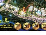 Aloha Beach Village Chính Thức Mở Bán Giai Đoạn 2 – Tâm Điểm Đầu Tư Hot Nhất 2018