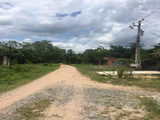 Bán Đất Vườn Trồng Lan Thơ Mộng Với Số Lượng Và Đầu Tư Khủng Tại Trảng Bàng Tây Ninh