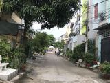 Chính Chủ Cho Thuê Nhà Nguyên Căn Khu Phạm Hữu Lầu .. Dt 4.5X16.5M. Giá Thuê 8Triệu