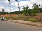 Bán 800M2 Đất Mặt Tiền Quốc Lộ 13 Giá Chỉ 580 Triệu