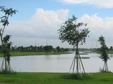 Đất Khu dân cư Bệnh viện Nhi Đồng 3, Chợ Rẫy 2, Thổ Cư 100%, Sổ Hồng Riêng, 560 Triệu/nền