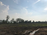 Thanh Lý Đất Bến Lức, Long An 750 Triệu/500M2. Lh: 0902.924.366