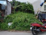 Cần Bán Gấp Đất Tại An Phú Đông Q12