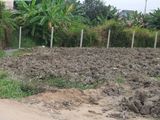 Sổ Hồng Riêng 1477M2 Có 992M2 Thổ Cư Ngang 39,2M - Mặt Tiền Đường Huỳnh Minh Mương - Lh 0945716365