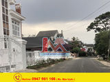 Biệt Thự Nghỉ Dưỡng Kết Hợp Kinh Doanh Homestay Đường Nguyễn Viết Xuân, Phường 4, Đà Lạt