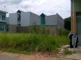 Chính Chủ 100M2 Đất Tân Kim, Cần Giuộc, Ô Tô Vào Thoải Mái, Chỉ 1.4 Tỷ