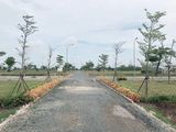 Bán Gấp Lô Đất 5X16M, Đường Lê Lợi, Xã Tân Hiệp, Hóc Môn Gần Chùa Hoằng Pháp Sổ Hồng Riêng