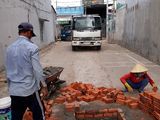 Bán Đất Bình Chánh Chính Chủ 4X12,5M. 4X13,5M. 4X14M, 4X16M, 4X20M...xã Vĩnh Lộc A.