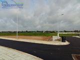Đất Nền Củ Chi Ngay Chợ Sáng Tân Thạnh Đông Giá 14 Triệu/m2