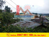 Đất Thế Cao, View Rừng Thông Đường Hẻm Xe Máy Ngô Quyền, Phường 6, Đà Lạt