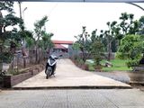 Chính Chủ Bán 2.207M2 Đất Thổ Cư Xã Cư Yên, Huyện Lương Sơn, Hòa Bình, Giá 2 Tỷ
