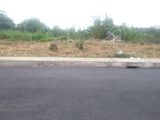Tôi Cần Bán Đất Nhà Bè Đã Phân Lô