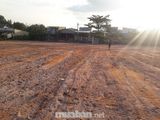 Bán Gấp Mấy Lô Đất Tại Trường Lưu , Giá Rẻ Chỉ Có 26Tr/m2
