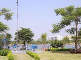 Sakura Garden- Dự Án Siêu Hot Quý III/2018 Trong Đại Đô Thị Bắc Sông Cấm - Lh 0904036704 Ms. Nguyên