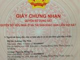 Đường Tân Thới Hiệp, Phường Tân Thới Hiệp, Quận 12, Hồ Chí Minh 900Tr/100M