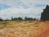 Làm Thế Nào Để Đầu Tư Đất Phan Thiết Hiệu Quả ?