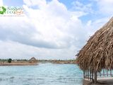 Đất Nền Mặt Tiền Đã Có Sổ Đỏ Dành Cho Nhà Đầu Tư Nhạy