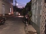 Bán Nhà 1 Lầu Hẻm Xe Hơi 6M Đường Mã Lò, 4X14M, Giá 3.75 Tỷ (Thương lượng)
