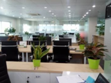 Cho Thuê Chỗ Ngồi Làm Việc Tại Cao Ốc Văn Phòng Giá Chỉ 1.990.000đ/Tháng