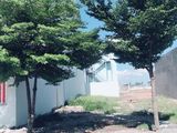 Cần Tiền Bán Liền Nền Đất 105M2 Sổ Hồng Riêng, Dân Cư Hiện Hữu!