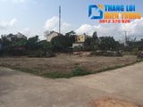 Bán Đất 2 Mặt Tiền Ngõ Trần Nhật Duật, Bán Nhanh 2 Lô Liền Kề Giá Rẻ Tha Hồ Xây Biệt Thự
