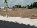 Cần Bán Lô Đất Gần Bình Chánh 550 Triệu