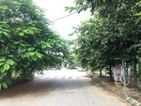 Bán Ô Góc Vườn Hoa 101M2 Hướng Tb Ở Cột 5-8 Mở Rộng.cách Biển Chưa Đầy 200M