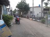 Bán Gấp Nhà Quách Điêu, Vĩnh Lộc A, Bình Chánh, 4X12M, Giá: 1.75 Tỷ