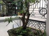 Bán Nhà Chính Chủ, Phân Lô Phố Thái Hà Đẹp Lung Linh 4X70M2 Chỉ 7.45 Tỷ