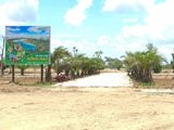 Cơ Hội Đầu Tư Sinh Lời Với Dự Án Đất Nền Đã Có Sổ Đỏ Ngay Cạnh Khu đô thị Vingroup 900Ha, Giá Rẻ