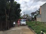 Duy Nhất Con 5 Nền Dành Cho Khách
