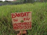 Cần Bán 2 Lô Đất Sau Lưng UBND Xã Hưng Long, Bình Chánh. Diện Tích 200M2, Đã Có Sổ Hồng, Công Chứng Ngay!