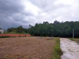 Đất Gần Khu công nghiệp Trảng Bàng, Khu công nghiệp Phước Đông