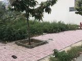 Lô Đất Đường Nguyễn Bỉnh Khiêm Mặt Tiền Thông Thoáng ,115M2,khu Dân Cư Song Ngữ Lạc Hồng, Bửu Long,