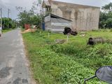 Đất Thổ Cư 145M2 Đường Suối Lội Tại Phước Vĩnh An Củ Chi, Sổ hồng riêng, 1.65 Tỷ