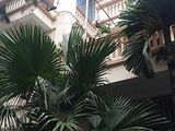 Cơ Hội Vàng Sở Hữu Biệt Thự Bán Đảo Linh Đàm, Lô Góc 3X90M2 Chỉ 10 Tỷ