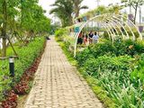 Khu Đô Thị Bắc Sông Cấm-Đẳng Cấp Quốc Tế Mở Ban Quý 4/2018