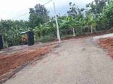 Chính Chủ Bán 100M /230Triệu Liền Kề Quốc Lộ 1A Đồng Nai