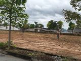 Khu dân cư Phúc Phát Tài - Điểm Đầu Tư Siêu Lợi Nhuận - Sổ Hồng Riêng, Xây Dựng Tự Do